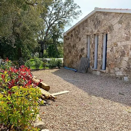 Villa De 2 Chambres A Lecci Avec Magnifique Vue Sur La Montagne Piscine Privee Jardin Clos A 4 Km De La Plage *